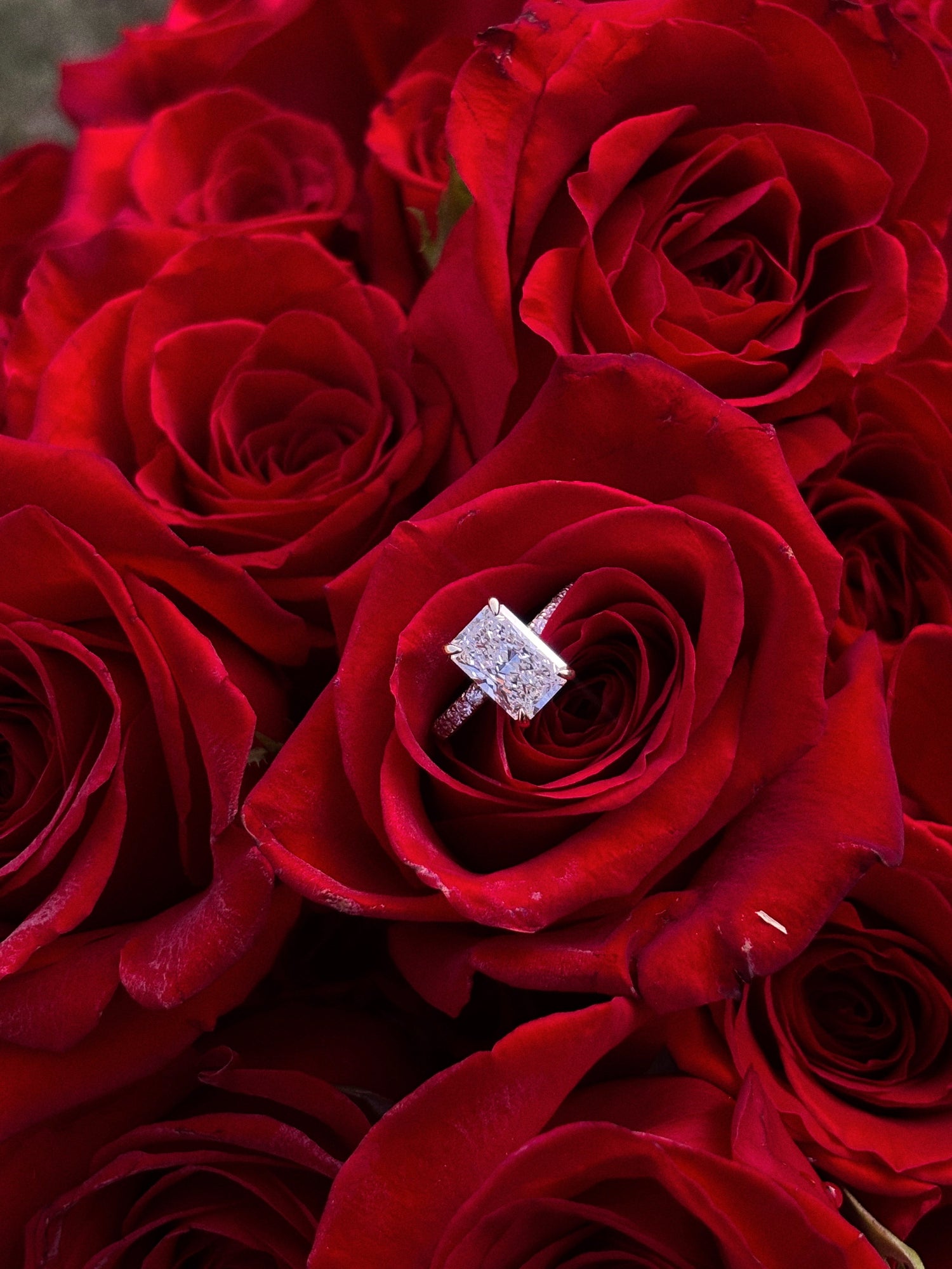 Engagement